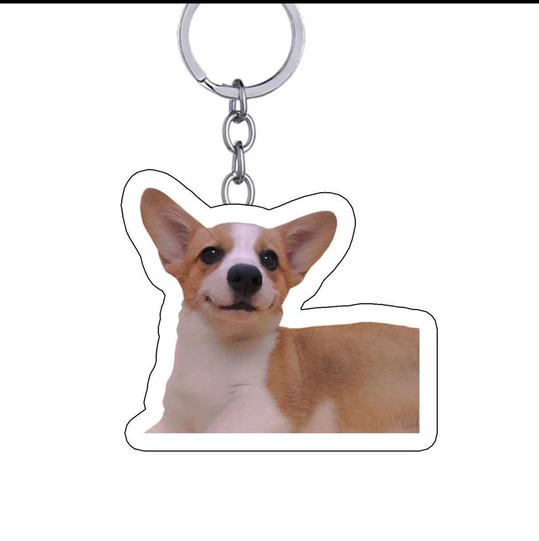 Custom acrylic keychain with your pet's photo – just upload any picture. Crystal clear print, waterproof & scratch-resistant. Perfect for bags, backpacks, or keys.