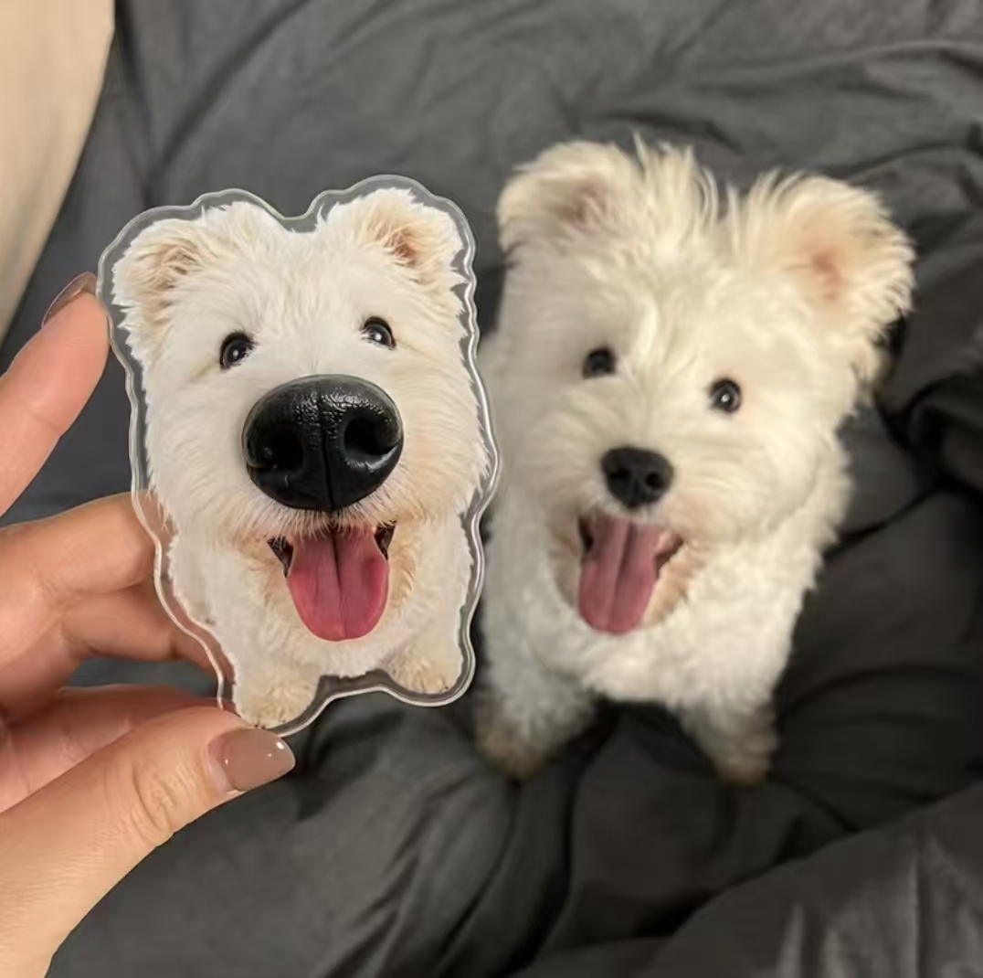 Custom 3D Pet Portrait Fridge Magnet