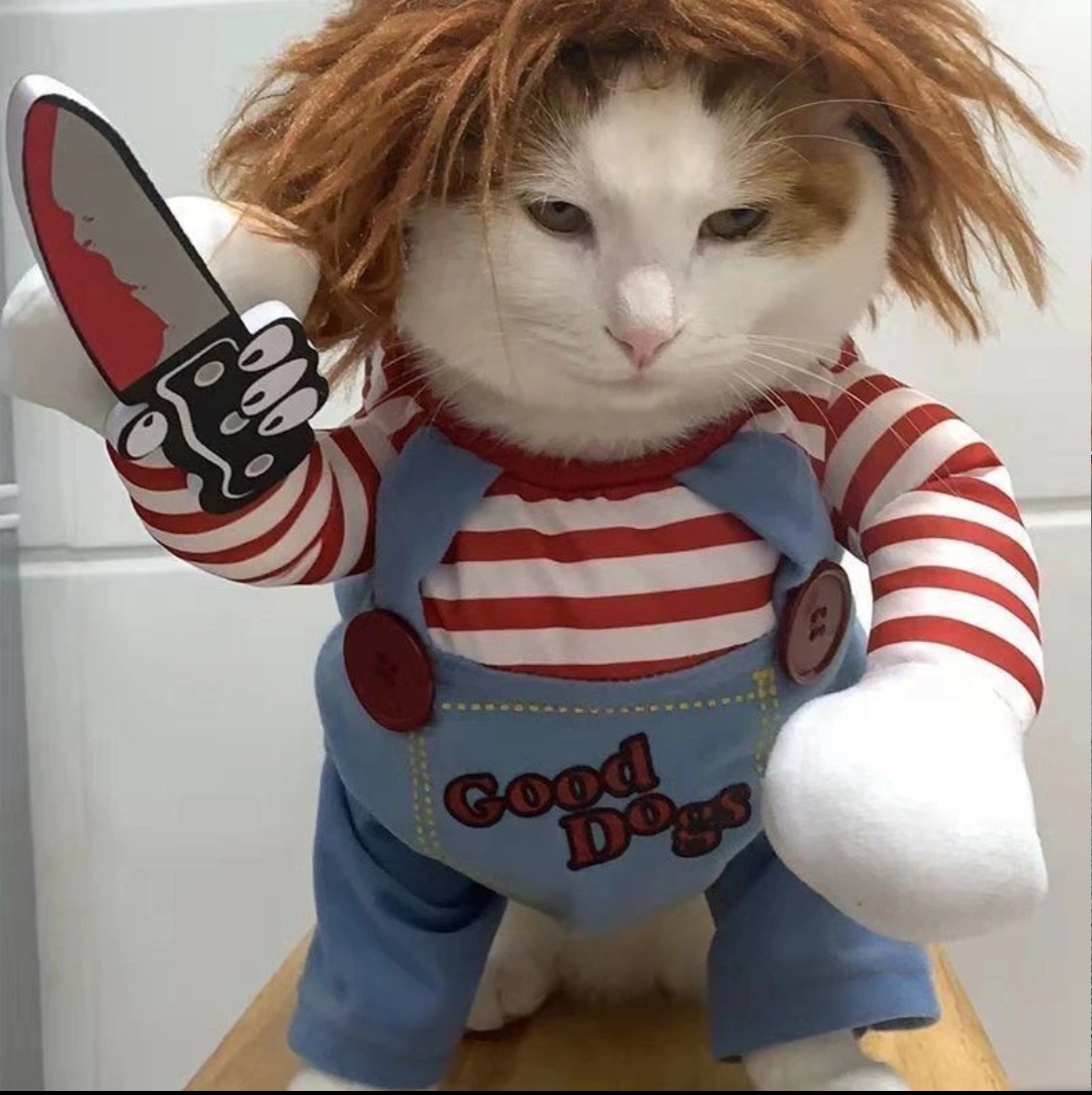 Viral Deadly Doll Dog | Cat  Costume with Prop Knife