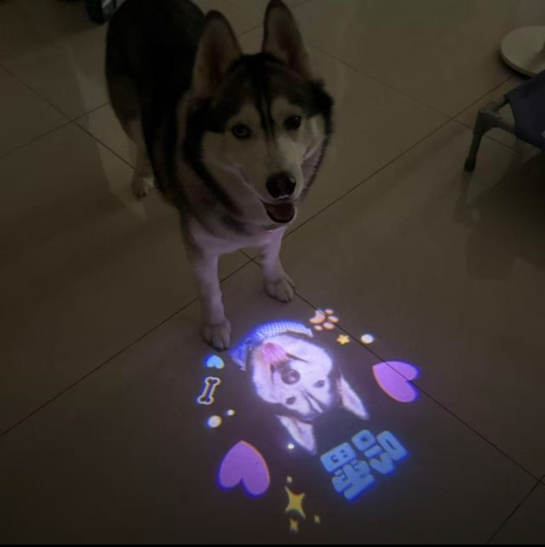 微信图片_20260909145526