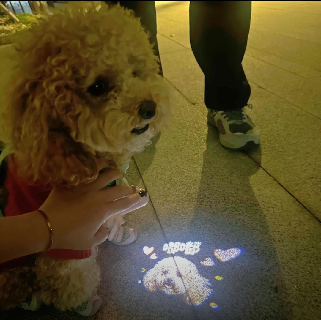 微信图片_20260909145526