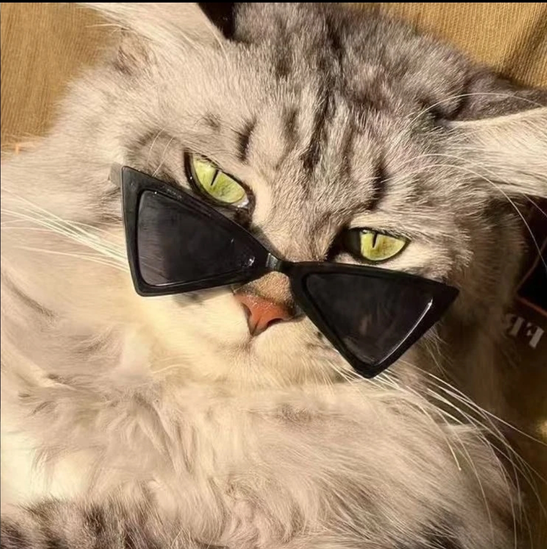 Cute Pet Sunglasses for Dogs & Cats – Funny Fashion Accessories